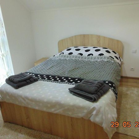 Borşa Vila Floarea De Colt 아파트 외부 사진
