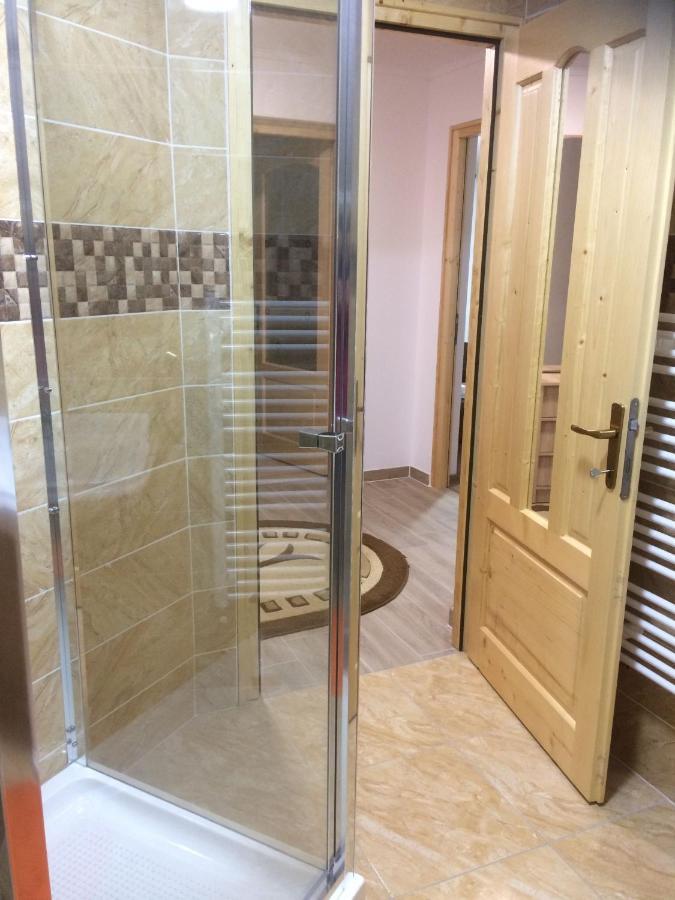 Borşa Vila Floarea De Colt 아파트 외부 사진