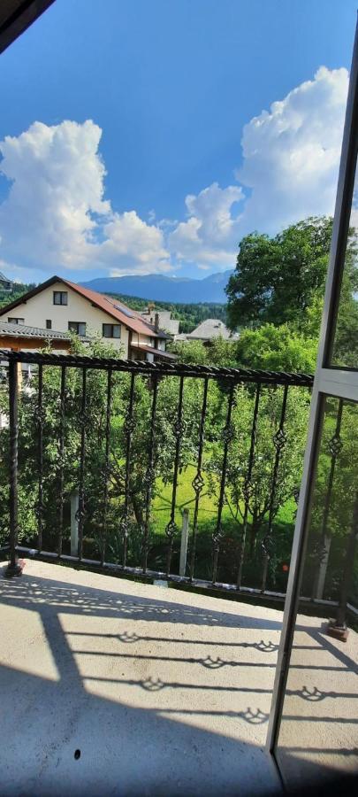 Borşa Vila Floarea De Colt 아파트 외부 사진
