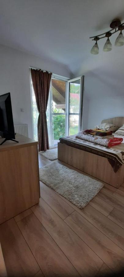 Borşa Vila Floarea De Colt 아파트 외부 사진