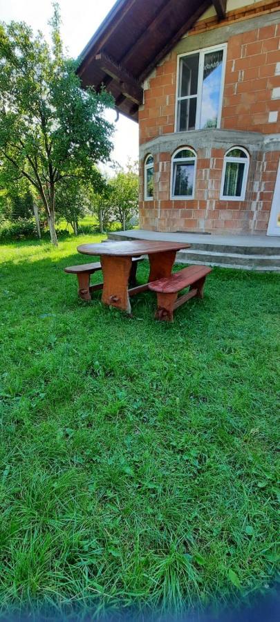 Borşa Vila Floarea De Colt 아파트 외부 사진