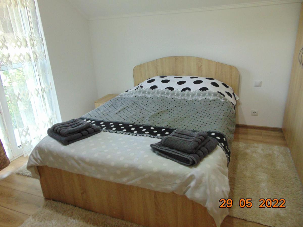 Borşa Vila Floarea De Colt 아파트 외부 사진