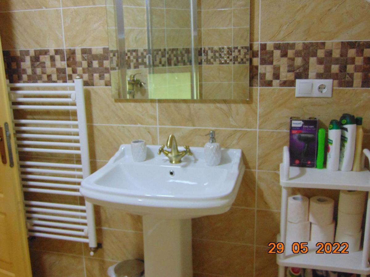 Borşa Vila Floarea De Colt 아파트 외부 사진