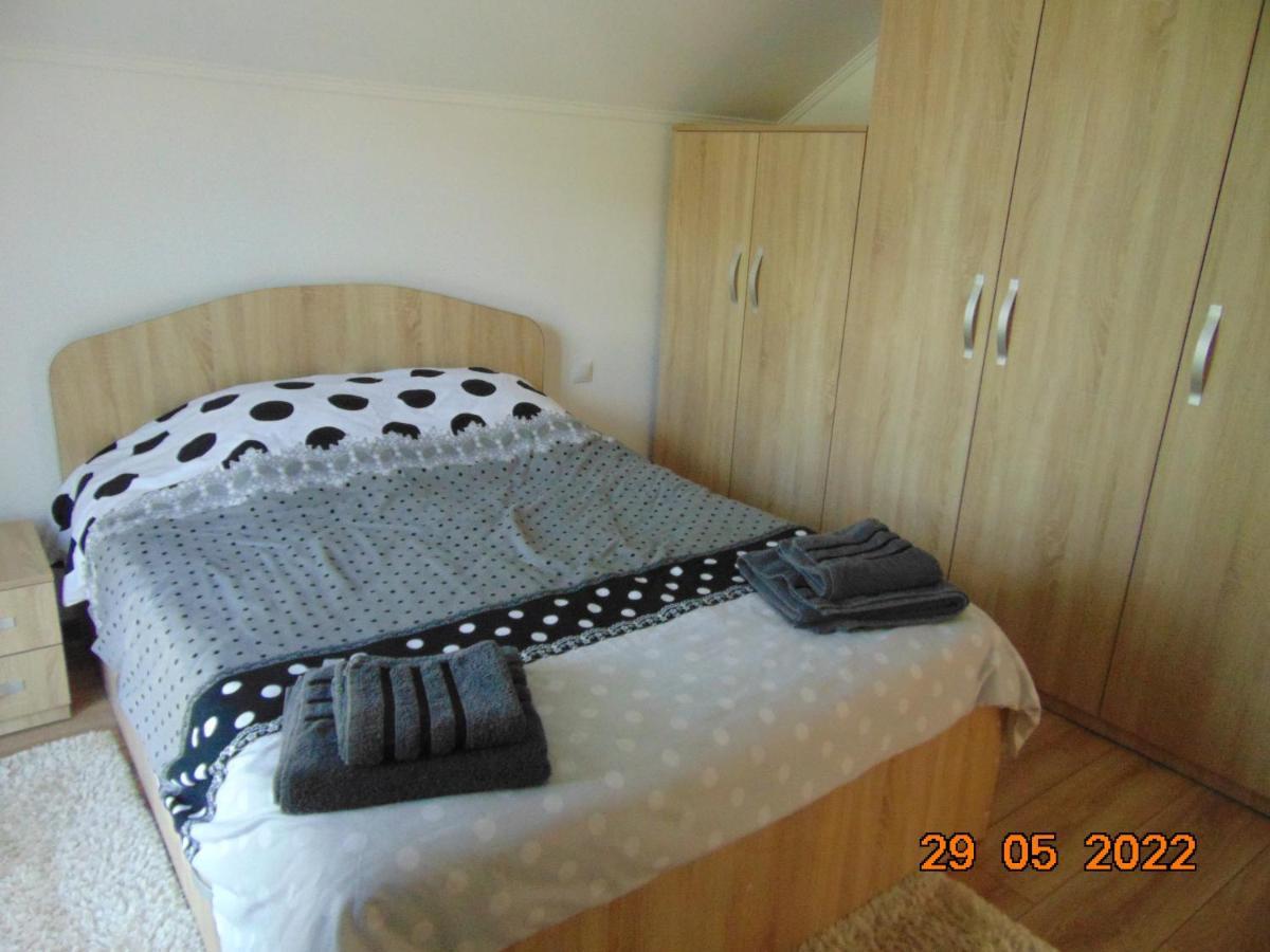 Borşa Vila Floarea De Colt 아파트 외부 사진